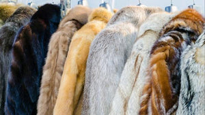 Macy's announces it will phase out fur sales by end of fiscal year 2020